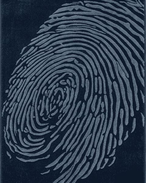 Whorl Indigo Rug